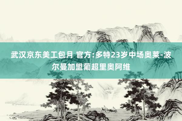 武汉京东美工包月 官方:多特23岁中场奥莱-波尔曼加盟葡超里奥阿维