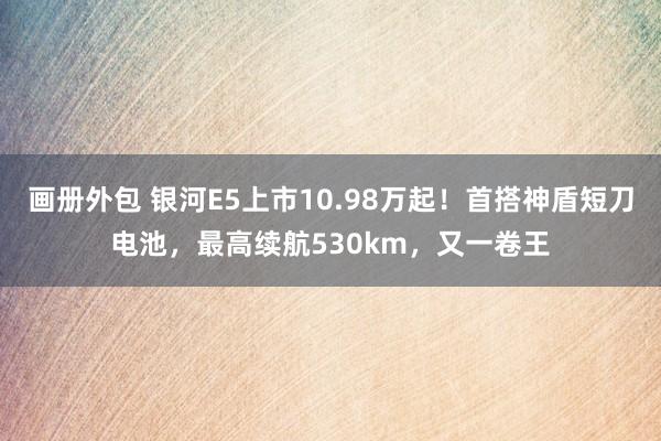 画册外包 银河E5上市10.98万起！首搭神盾短刀电池，最高续航530km，又一卷王