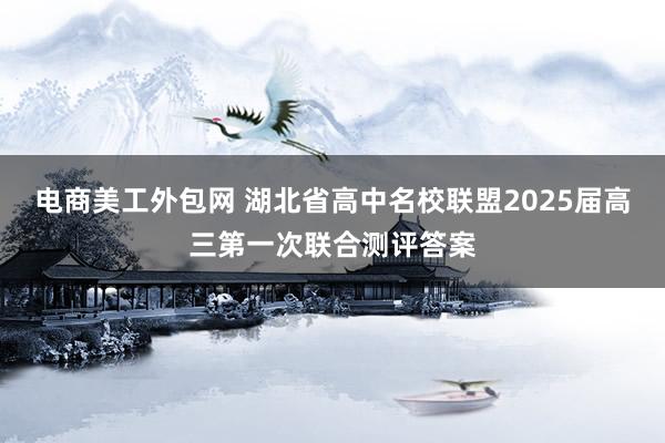 电商美工外包网 湖北省高中名校联盟2025届高三第一次联合测评答案