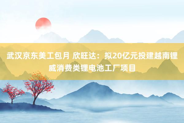 武汉京东美工包月 欣旺达：拟20亿元投建越南锂威消费类锂电池工厂项目