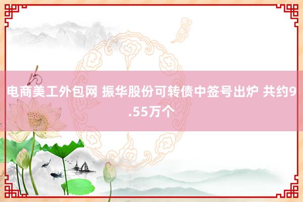 电商美工外包网 振华股份可转债中签号出炉 共约9.55万个